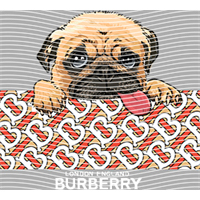 Brand Catalog-ZX 343